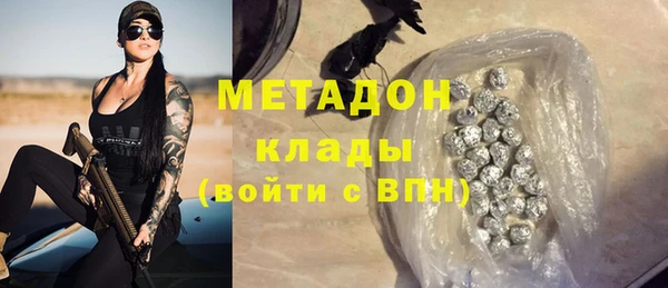прущие грибы Рославль