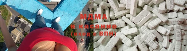 прущие грибы Рославль