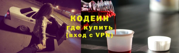 прущие грибы Рославль