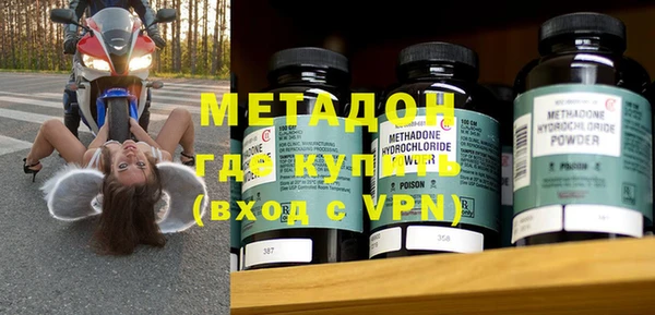 прущие грибы Рославль