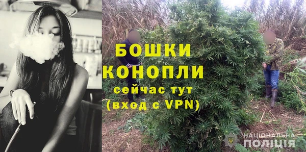 прущие грибы Рославль