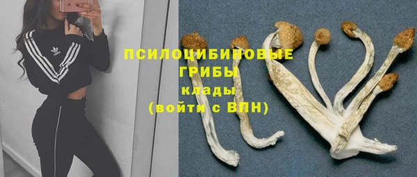 прущий лед Россошь