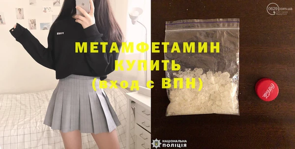 прущие грибы Рославль