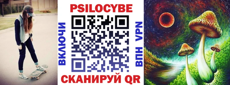 Купить закладки  Петровск-Забайкальский  Галлюциногенные грибы мицелий 
