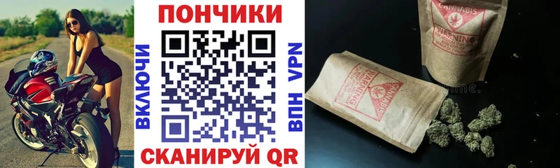 Купить где Петровск-Забайкальский Канабис марихуана